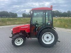 Goldoni Aster 45