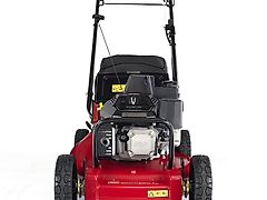 Toro