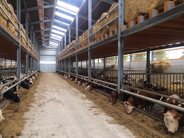 Gerdemann Futterraufe Heuraufe Strohraufe