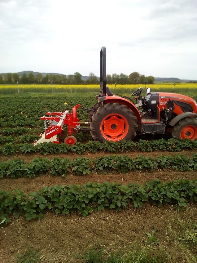 Minos Agri Reihenfräse 5-reihig T-SCM-5-A