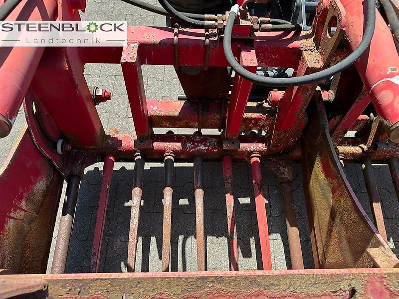 Redrock Alligator85