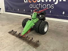 Rapid Varea 1690