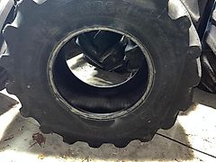 volledige set Bridgestone gebruikte kambanden [zie omschrijving voor de prijzen]