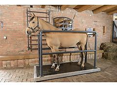 MD BM VIBRATIONSPLATTE VIBRO 2300