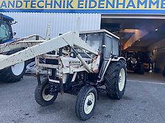 Lamborghini R 503 DT