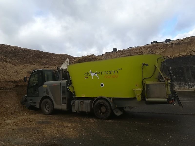 Storti DOBERMANN SVA 180