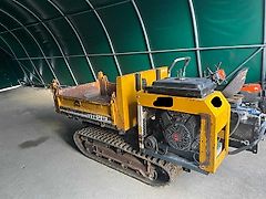 Yanmar Eigenumbau