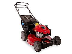 Toro