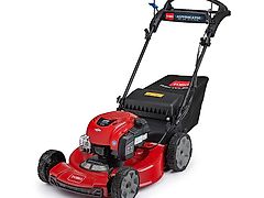 Toro