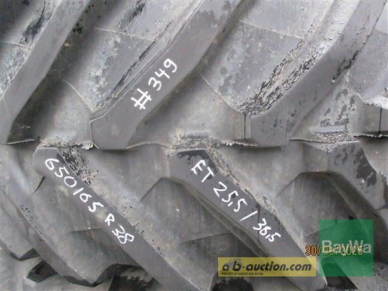 Fendt 650/65R38 157D TB-70 8 #349