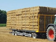 WIELTON PRS 24