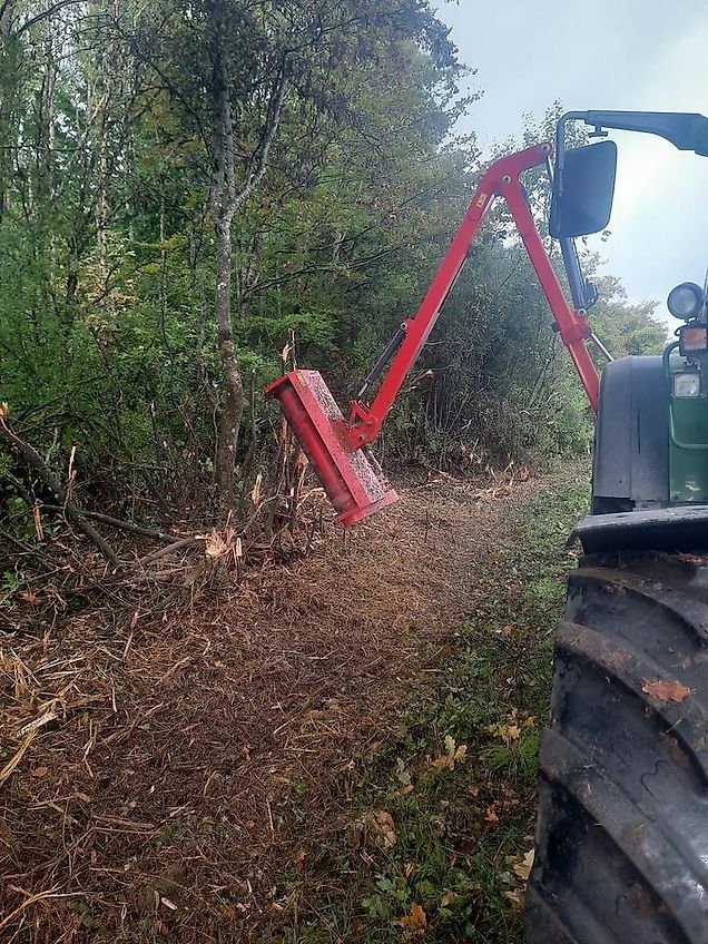Omarv Böschungsmulcher Auslegemulcher Schlegelmulcher Mulcher