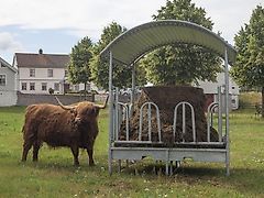 Palisadenraufe mit dem Dach Viereckraufe 12 Plätze Futterraufe Heuraufe KELLFRI