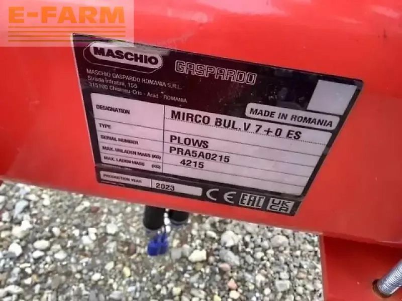 Maschio mirco 7