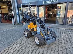 Giant G1100