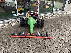 Rapid Rex