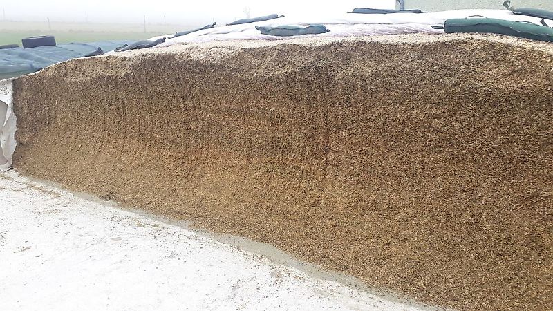 SAT SAT-Einfütterschaufel-Futterverteiler-Neu